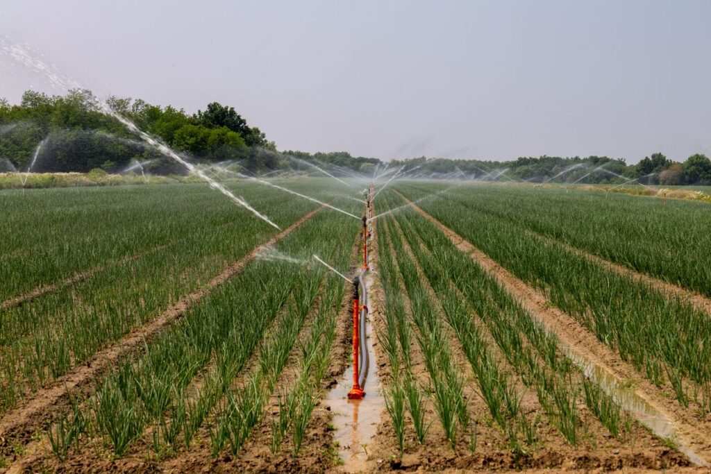 A vast agricultural field in Croatia with a modern irrigation system, enhancing crop growth.
